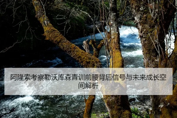 阿隆索考察勒沃库森青训前腰背后信号与未来成长空间解析