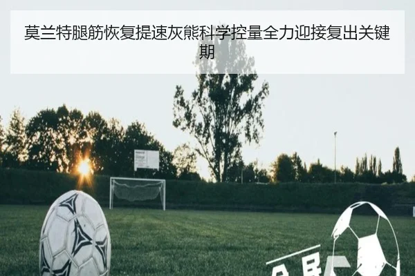 莫兰特腿筋恢复提速灰熊科学控量全力迎接复出关键期